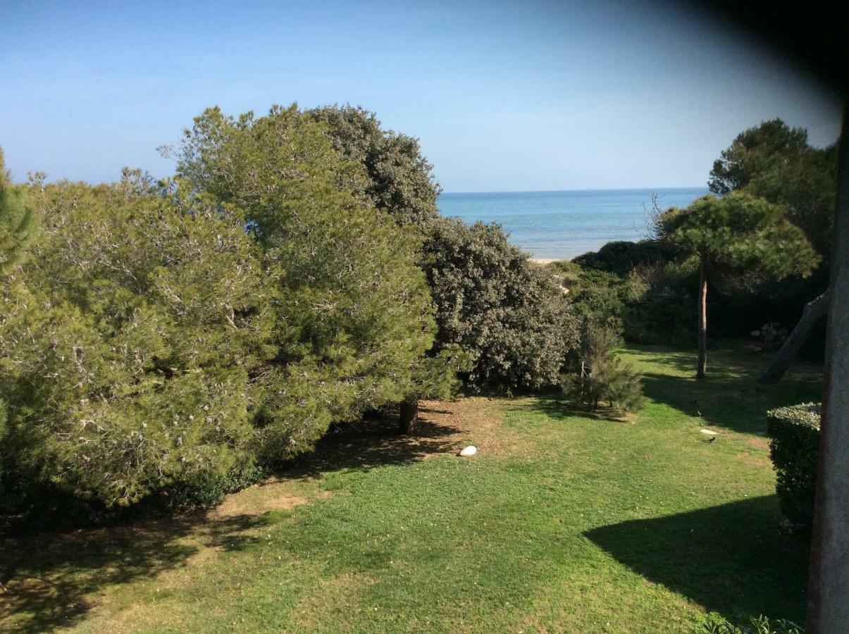Entre Mer Et Piscine Йер Экстерьер фото
